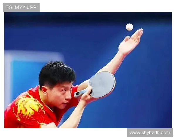 从零起步掌握乒乓球力量技巧与训练方法全解析